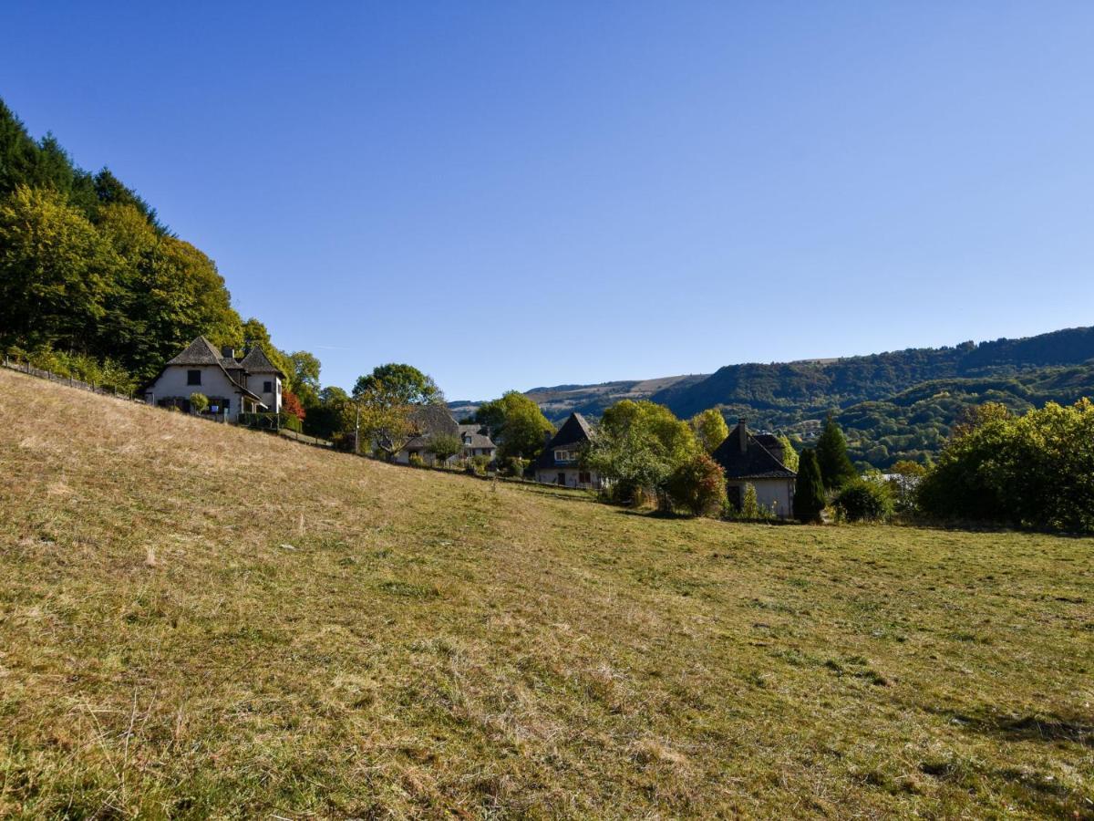 Beautiful Villa In The Parc Des Volcans D Auvergne Vic-sur-Cère Екстериор снимка