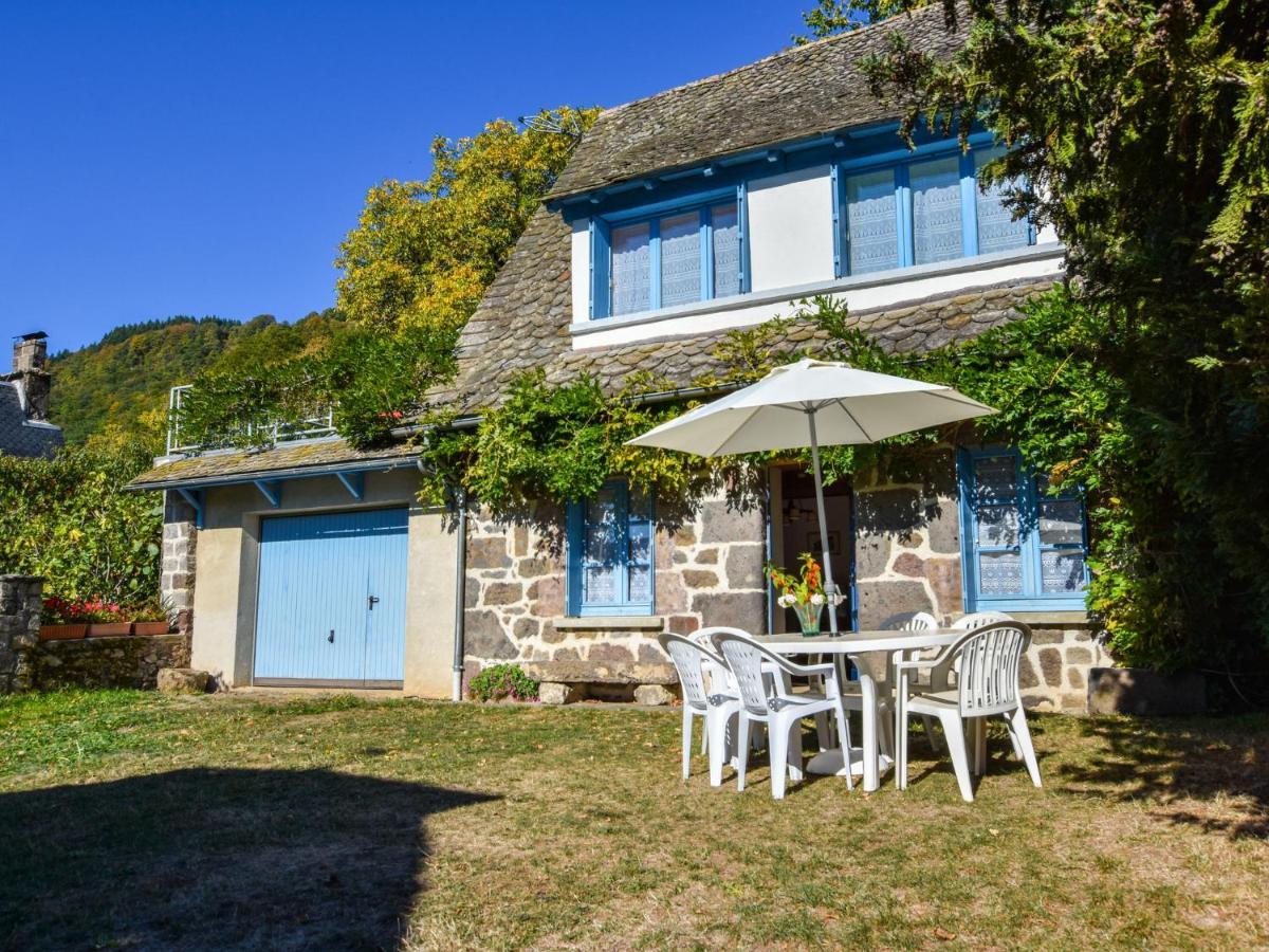 Beautiful Villa In The Parc Des Volcans D Auvergne Vic-sur-Cère Екстериор снимка